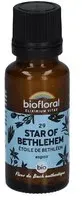 BIOFLORAL 29 Star Of Bethlehem - Etoile de Bethléem Granulés 19 g