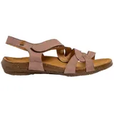 El Naturalista N5079 Wakataua Rot 42