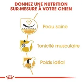 Royal Canin Pug Adult 2 x 3 kg