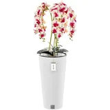 botle Künstliche Orchidee Kaskaden Blumenstrauß Creme und Rosa im Topf Weiß H 110 cm Heimbüro Dekoration, Kunstpflanze Orchidee, Kunstblume, Künstliche Orchidee im Topf