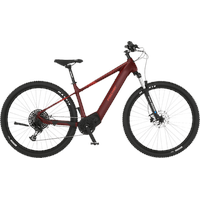 Fischer Montis 7.0I Mountainbike (Laufradgröße: 29 Zoll, Rahmenhöhe: 46