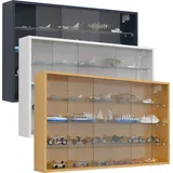 VCM Hängevitrine Wandvitrine Glas Drivalo XL