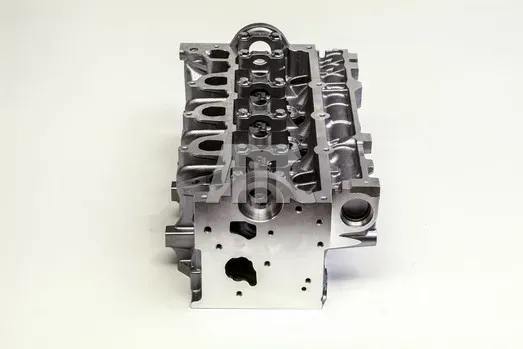 AMC Zylinderkopf 908888 für DACIA