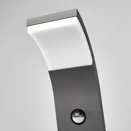 LUCANDE Außenleuchte Aluminium 100 cm inkl. Bewegungsmelder schwarz