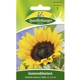 Quedlinburger Saatgut Sonnenblume Einfache Riesen",1 Portion