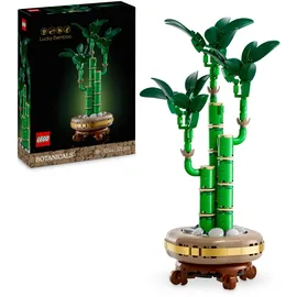 LEGO Botanicals 10344 Glücks-Bambus