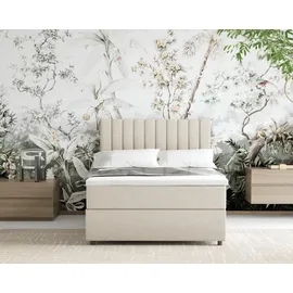 panda möbel Boxbett, Beige, Holz, Mode, H3, 120x200 cm, Oeko-Tex® Standard 100, Schlafzimmer, Betten, Boxspringbetten