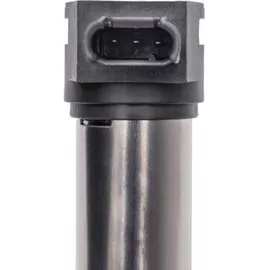 BorgWarner (Beru) (BERU) Zündspule