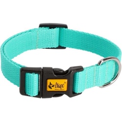 Red Dingo DINGO Energy mint - Hundehalsband - 37-61 cm (Hund, Allgemein), Halsband + Leine