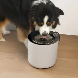 ZEUS Smart Trinkbrunnen Oasis Plus Grau 6,