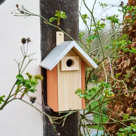 Siena Garden Nestperle Kati 34 mm