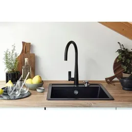 Schock Mono N-100S Einbau G Polaris + Excenterbetätigung