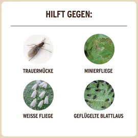 substral® naturen® Naturen Bio Gelbstecker Insektenvernichter 15 Stück