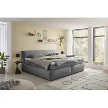 Stella Trading Boxspringbett – dark grey - H3/H4 - Microvelours - 180x200 cm