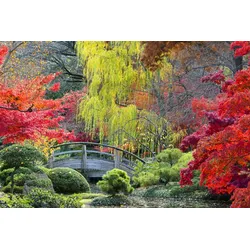 Fototapete PAPERMOON "GARTEN-NATUR WALD BÄUME HERBSTLANDSCHAFT BLUMEN SEE XXL", bunt, B:2,50m L:1,86m, Vlies, Tapeten