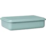 RIESS Vorratsbehälter rechteckig salbeigrün 23 x 15 x 5 cm 1 l