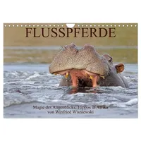 Calvendo Flusspferde Magie des Augenblicks - Hippos in Afrika