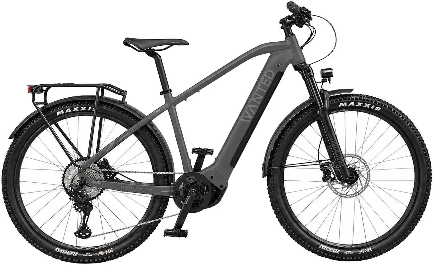 E-Bike WANTED 