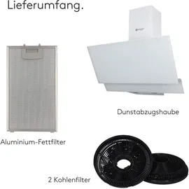 Wiggo Dunstabzugshaube 60cm kopffrei I Abluft Umluft Dunstabzug 300m3/h - LED Touch-Display 3 Stufen I Schräghaube inkl. Fettfilter & 2x Kohlefil...