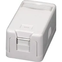 EFB-Elektronik Keystone Verteilerbox Aufputz, 1-Port Staubschutz selbstschließend