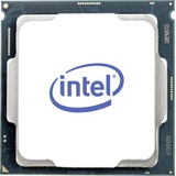 Intel Intel® CoreTM 300 2 x 3.9GHz Dual Core Prozessor (CPU) Tray Sockel (PC): Intel® 1700