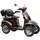 ECONELO E-Seniorenmobil MAXXI 4.0 Elektromobil braun