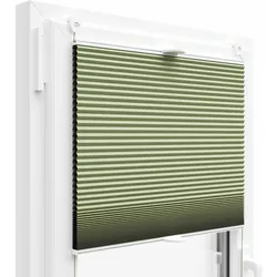 KS Handel 24 THERMO WABENPLISSEE 100% VERDUNKELND
FALTROLLO JALOUSIE (Grün PM08, 75x200 cm)