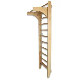 BITUXX Sprossenwand Kletterwand Turnwand Klettergerüst Turngerät mit variabler Klimmzugstange 10 Sprossen bis 120Kg