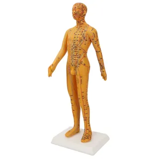 Jauarta 53 Cm Akupunktur-Modell den Menschlichen Körper, Mann, Chinesische Medizin, Lehre, Akupunkt-Schaufensterpuppe, Druckpunkt-Akupunktur-Modell