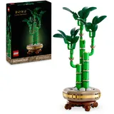 LEGO Botanicals 10344 Glücks-Bambus