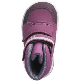 Pepino Flo lila/rosa 25