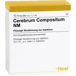 Cerebrum compositum NM