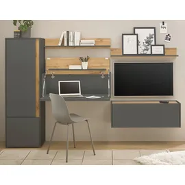 furn.design Wohnwand mit Sekretär Center