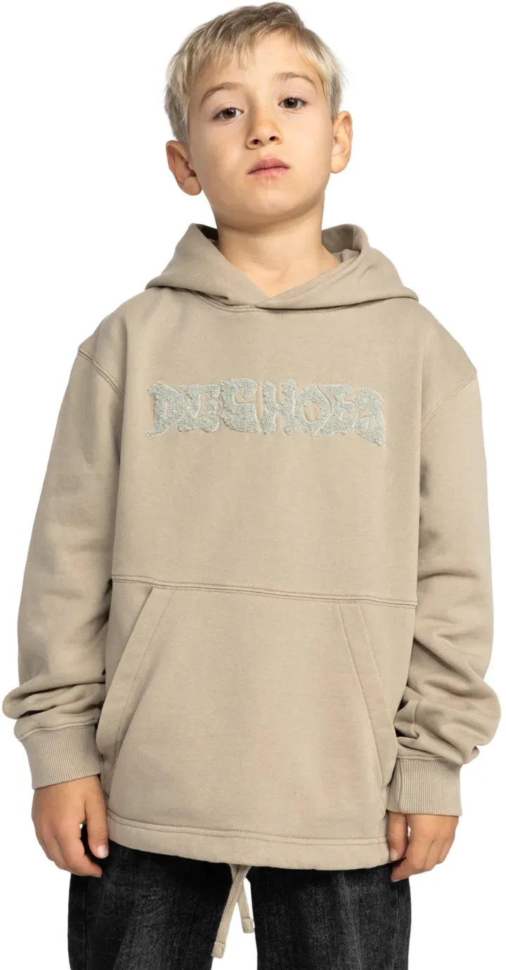 Kapuzensweatshirt DC SHOES 