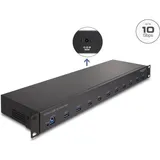 DeLock 19? Industrie Hub 10 x USB 10 Gbps Typ-A