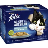 Felix So gut wie es aussieht Geschmacksvielfalt aus dem Wasser 12 x 85 g