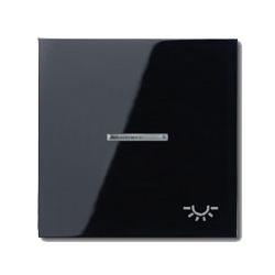 Wippe mit Symbol " Licht" , mit Lichtleiter (schwarz)