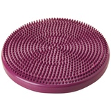 FitPAWS Balance-Disc für Hunde, 14", Violett