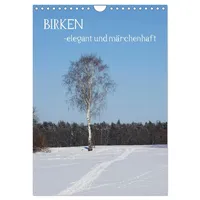 Calvendo Birken - elegant und märchenhaft (Wandkalender 2026 DIN