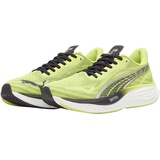 Puma Velocity Nitro 3 Psychedelic Rush Laufschuhe - Lime POW-PUMA B, 43