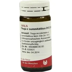 THUJA E SUMMITATIBUS D 12 Globuli 20 g