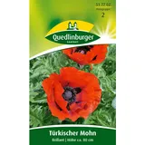 Quedlinburger Türkischer Mohn ''Brillant''