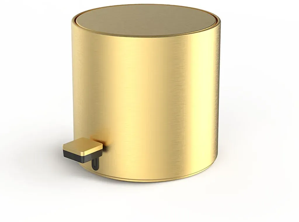 Decor Walther Pedaleimer TE 50 Mini - Gold matt