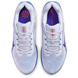 Nike Winflo 11 Laufschuhe, Herren 006 - ghost/blue void-football grey-deep night 42.5
