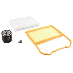 VAICO Teilesatz, Inspektion  für VW 04E115561H 04E115561Hkit V10-7437