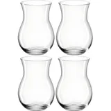 LEONARDO Vase Casolare 18 cm Glas Transparent Klar M (Medium)