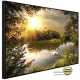 Papermoon Infrarotheizung Schwan am Teich 600 W bunt