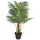 vidaXL vidaXL, Palme Künstlich mit 3 Stämmen Grün 85 cm PP