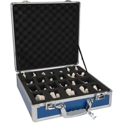 Wirbelmodell Set mit 24 BONElikeTM Wirbeln - 3B Smart Anatomy