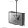 NEWSTAR Monitor-Halterung 1 Full-Motion Doppel Deckenhalterung 32-75 Zoll Schwarz